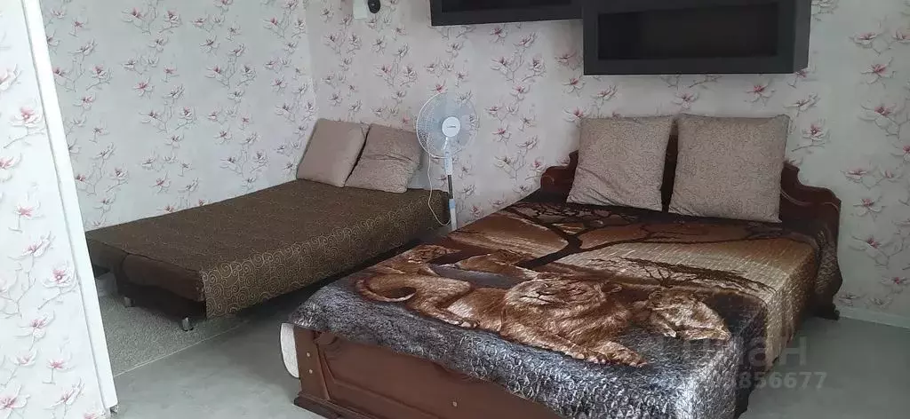 1-к кв. Тамбовская область, Тамбов ул. Подвойского, 11 (33.0 м) - Фото 0