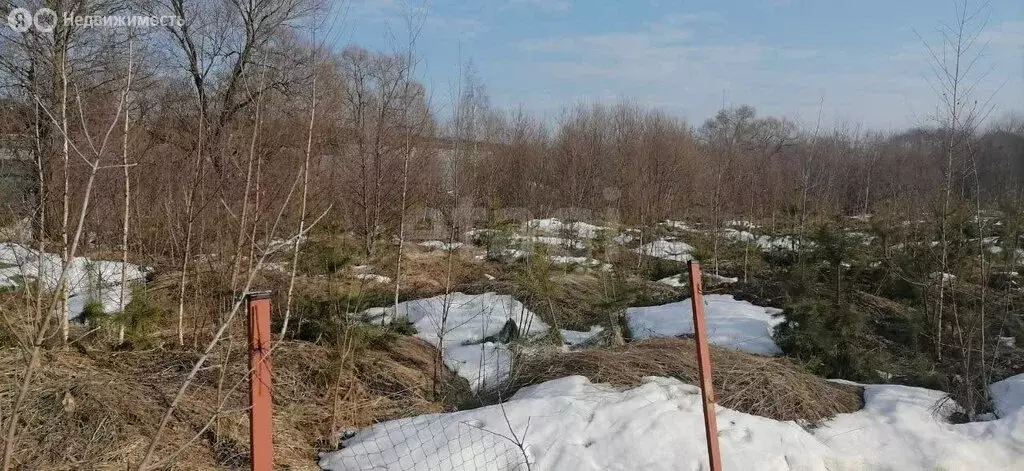 Участок в Московская область, городской округ Серпухов, деревня ... - Фото 1
