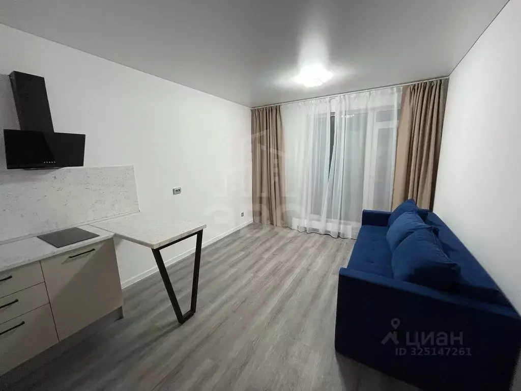 Студия Санкт-Петербург просп. Обуховской обороны, 36 (25.0 м) - Фото 2