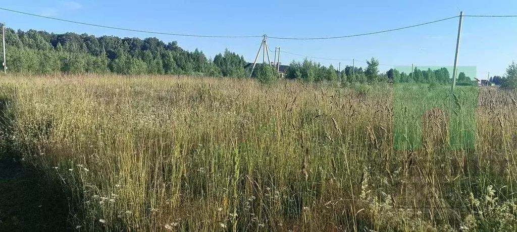 Участок в Марий Эл, Медведевский район, Азяковское с/пос, д. Шеклянур ... - Фото 1