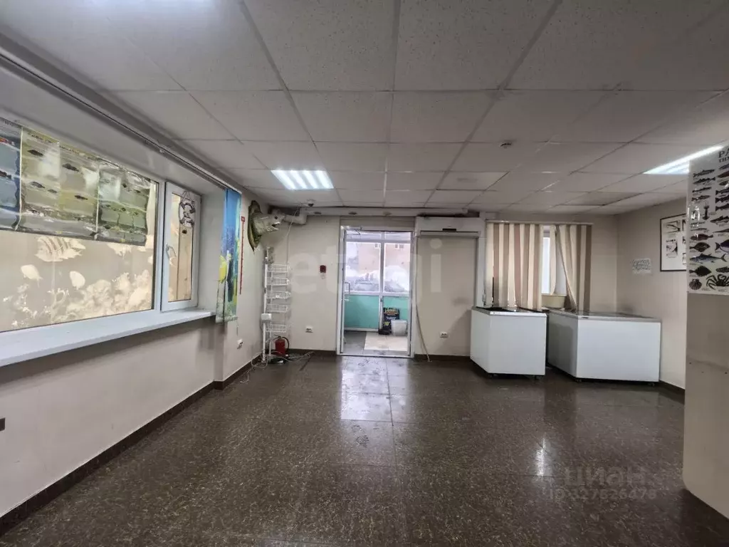 Торговая площадь в Камчатский край, Вилючинск Кронштадтская ул., 2 (32 ... - Фото 1