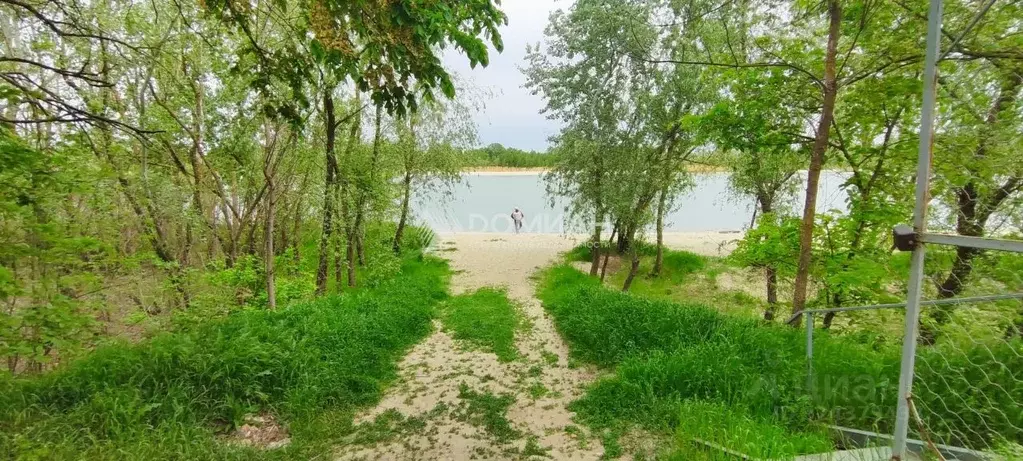 Дом в Ростовская область, Багаевское с/пос, Орион СНП ул. Дружная (48 ... - Фото 1