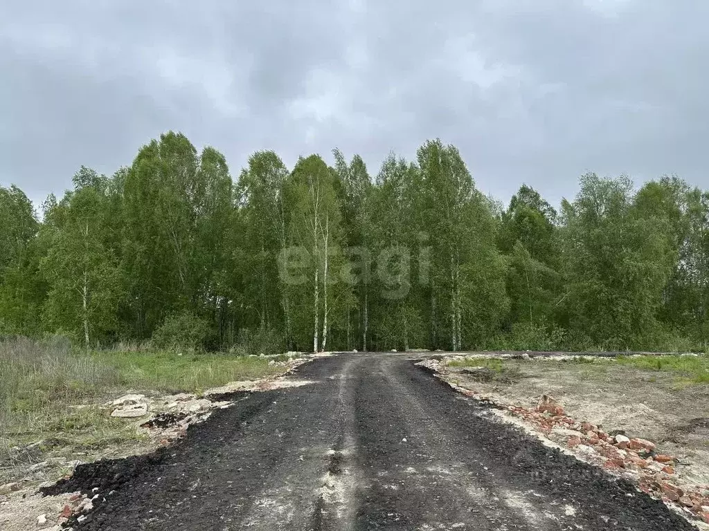Участок в Тюменская область, Нижнетавдинский муниципальный округ, ... - Фото 1