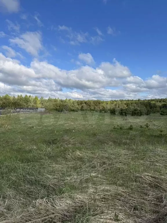 Участок 10 сот. (ИЖС) - Фото 0
