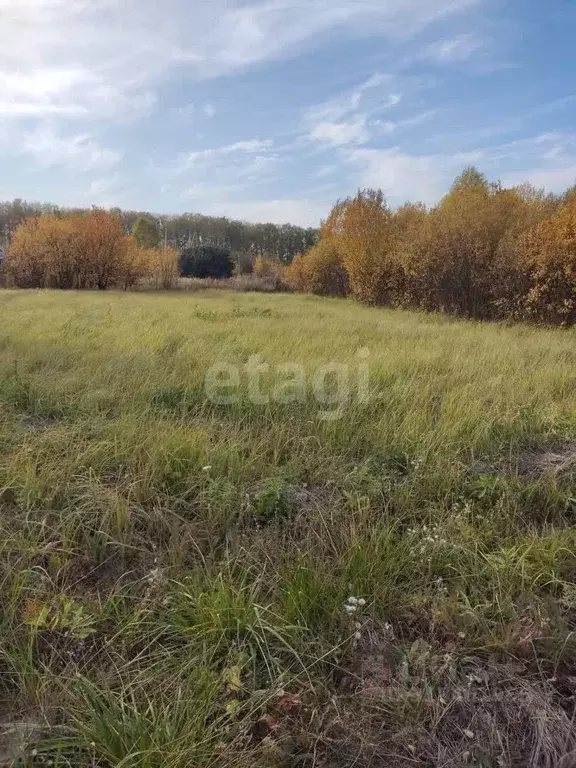 Участок в Пензенская область, Пенза Автодром Вираж мкр,  (15.0 сот.) - Фото 0