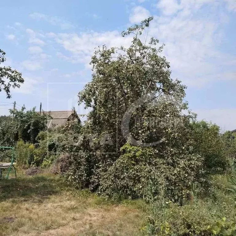 Дом в Воронежская область, Воронеж Садовод ВАСО СНТ, ул. 23-я (44 м) - Фото 1