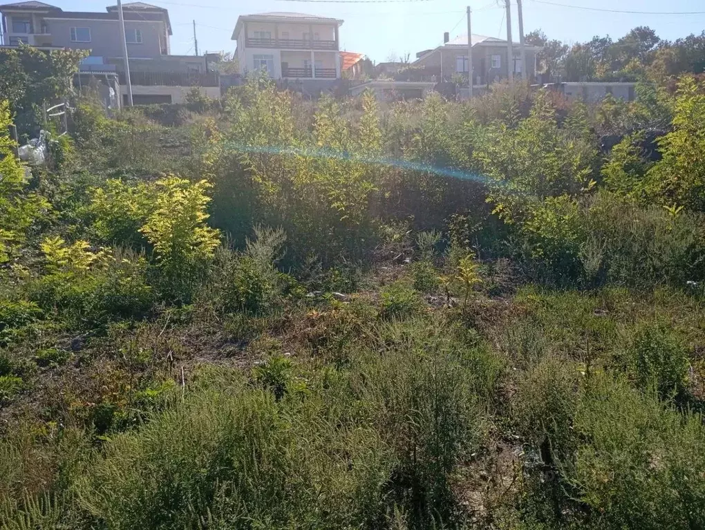 Участок в Краснодарский край, Анапа муниципальный округ, с. Сукко ул. ... - Фото 1