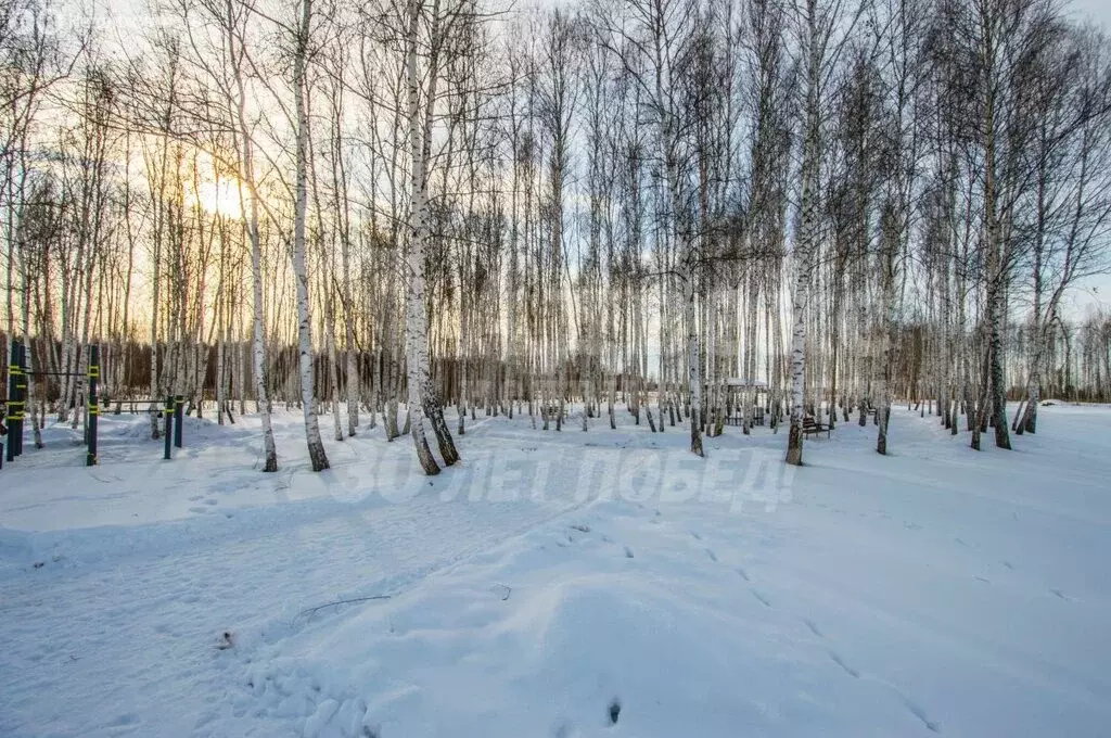 Участок в Московская область, городской округ Щёлково, микрорайон ... - Фото 2