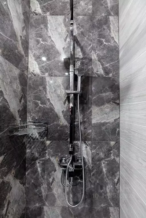 Комната Москва Ленинский просп., 95Б (30.0 м) - Фото 2