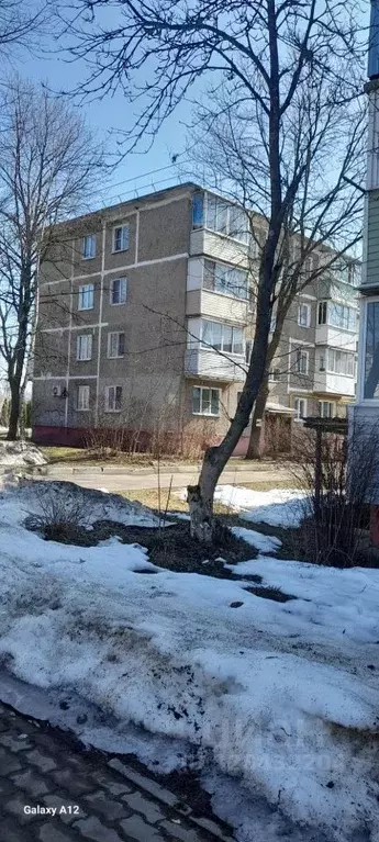 1-к кв. Московская область, Богородский городской округ, с. Мамонтово ... - Фото 1