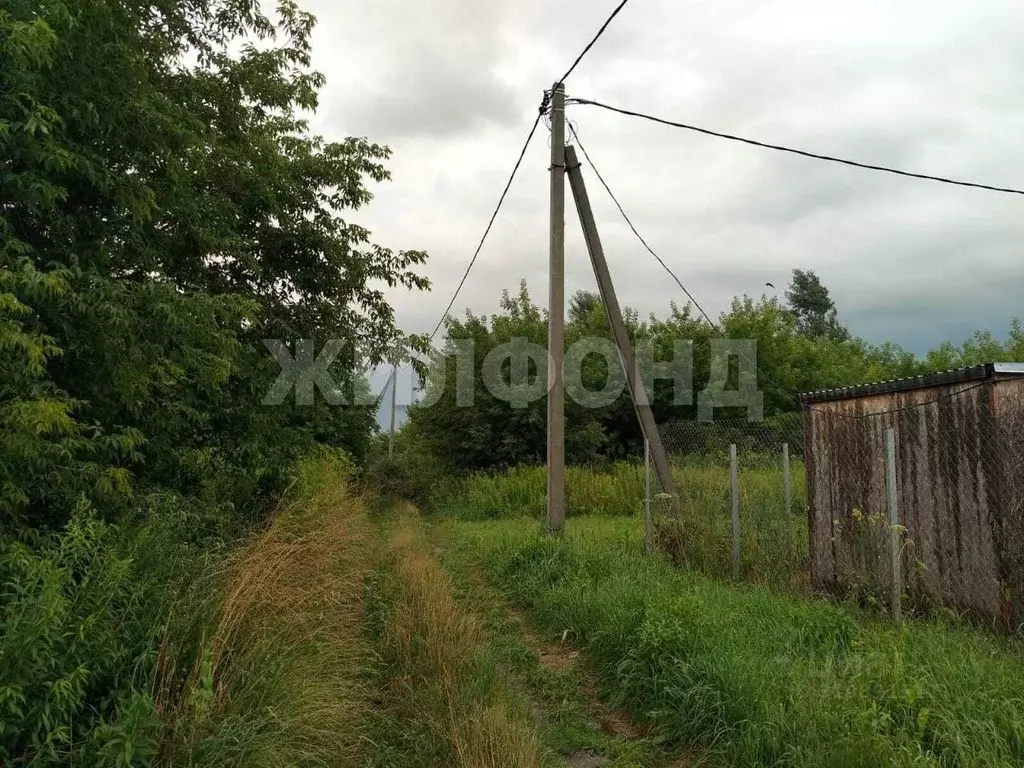 Участок в Новосибирская область, Новосибирский район, Новолуговской ... - Фото 1