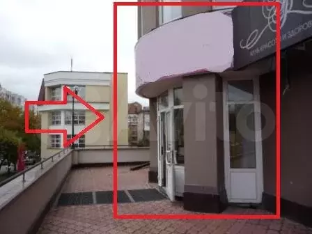 Офис, 155.7 м (3 комн) напротив зоопарка центр - Фото 0