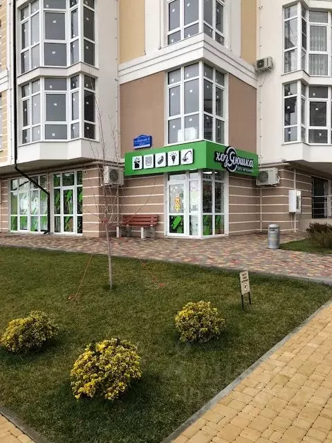 Помещение свободного назначения в Краснодарский край, Геленджик ... - Фото 1
