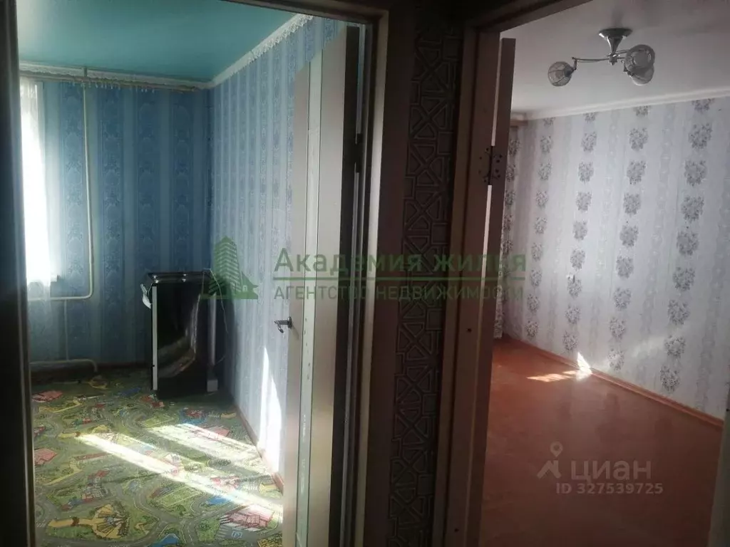 1-к кв. Саратовская область, Энгельс 1-й мкр, 13А (36.0 м) - Фото 2