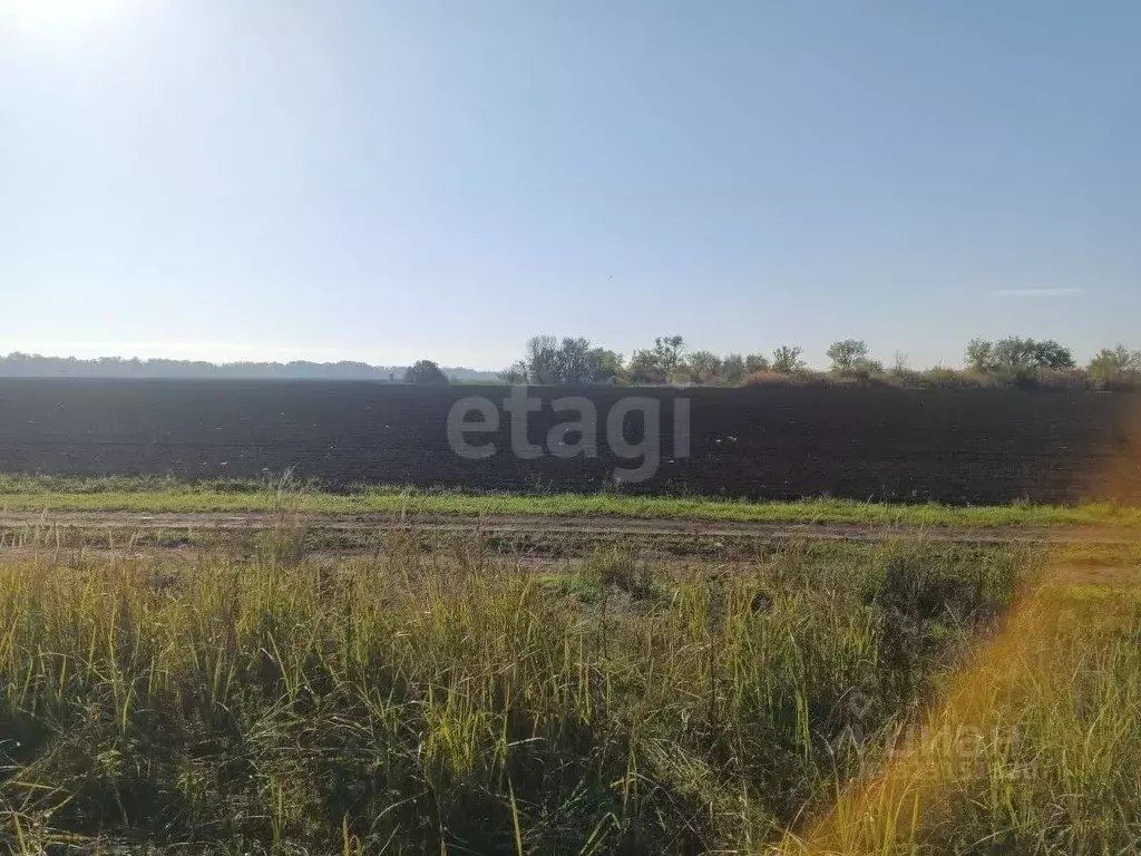 Участок в Ростовская область, Азовский район, с. Кулешовка ул. ... - Фото 1