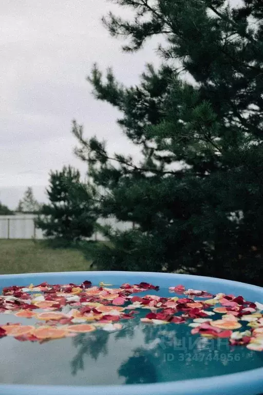 Дом в Брянская область, Брянский район, Нетьинское с/пос, д. Толвинка ... - Фото 2