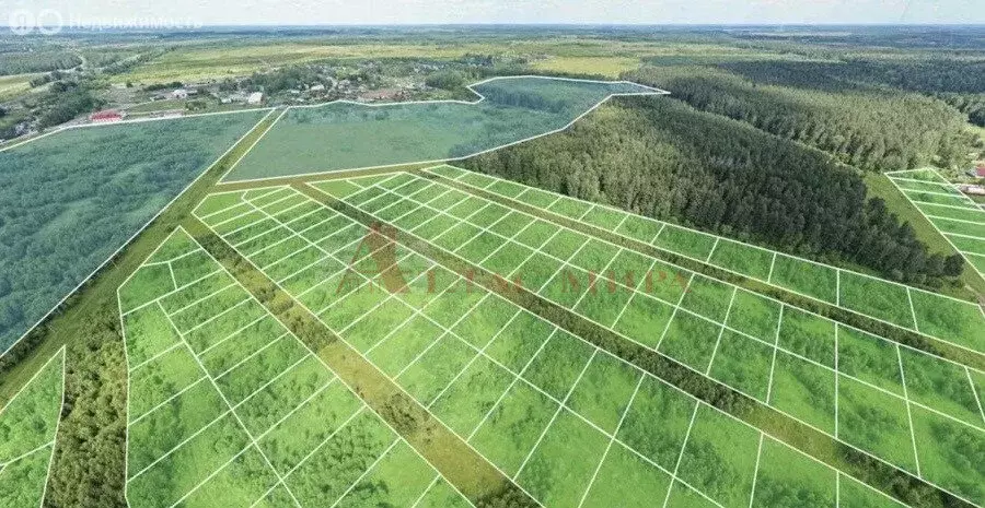 Участок в Елизаветинское сельское поселение, хутор Городище, ... - Фото 1