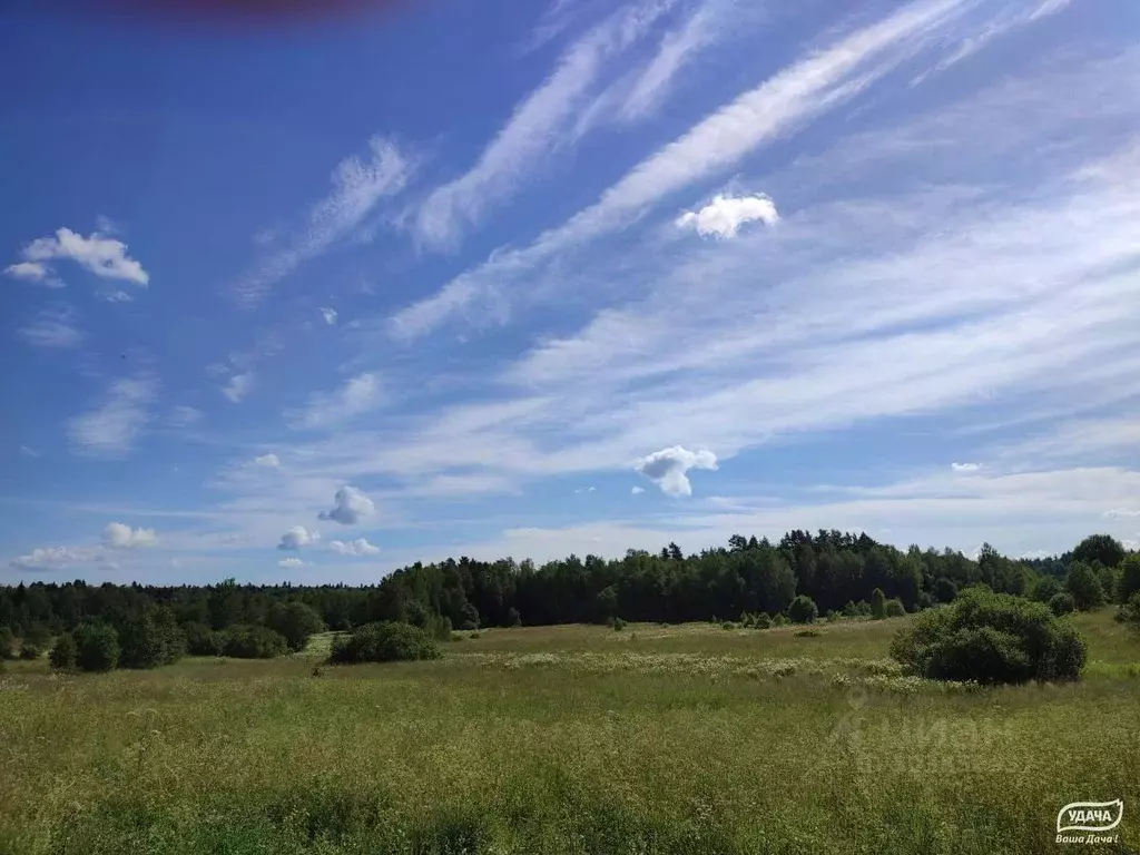 Участок в Московская область, Дмитровский городской округ, д. Ерыково  ... - Фото 1