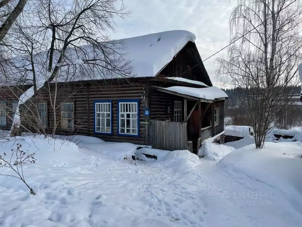 1-к кв. Пермский край, Очер Революционная ул., 30 (19.7 м) - Фото 1