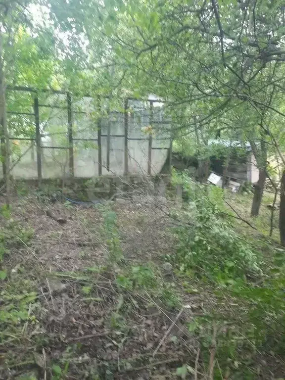 Участок в Нижегородская область, Нижний Новгород Победа СНТ, 350 (5.4 ... - Фото 1