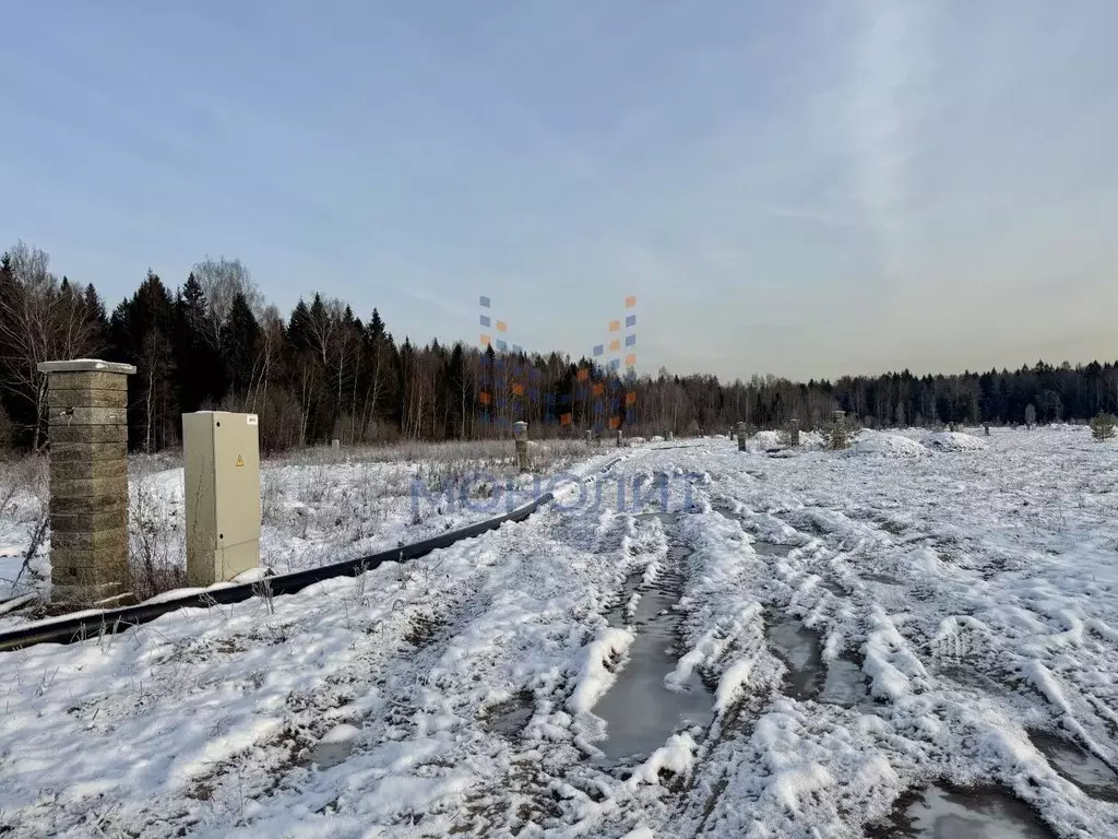 Участок в Московская область, Истра городской округ, Максимово Парк кп ... - Фото 1