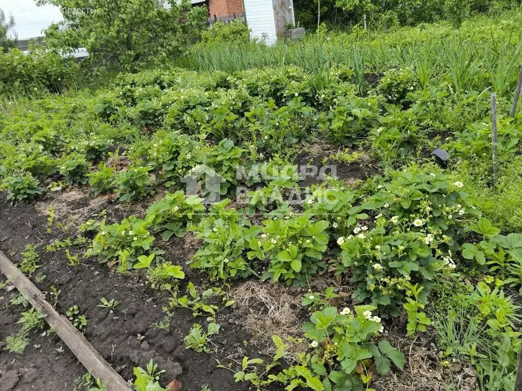 Участок в муниципальный округ Омский район, СНТ Яблонька, 0-я аллея ... - Фото 1
