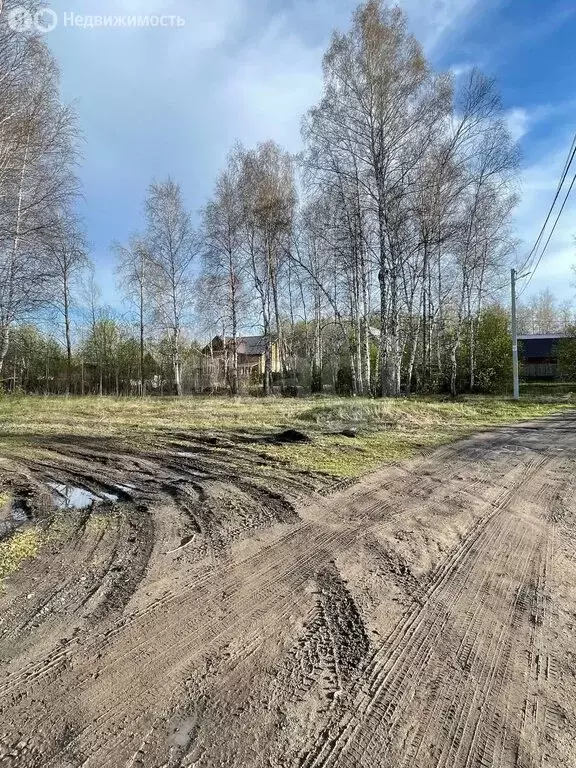 Участок в Тюменский муниципальный округ, деревня Коняшина, Луговая ... - Фото 2