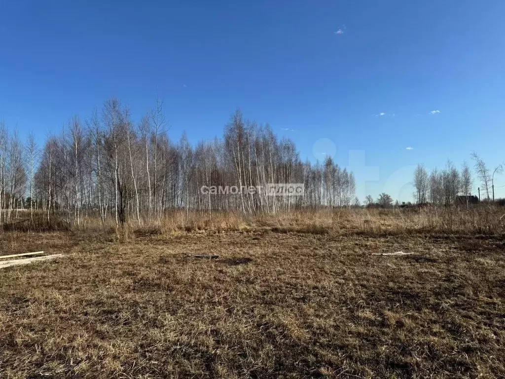 Участок 8 сот. (ИЖС) - Фото 1