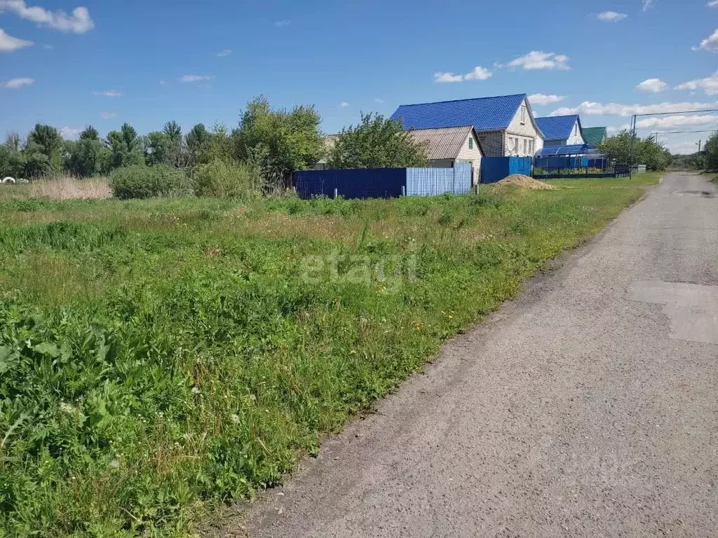 Участок в Белгородская область, Красногвардейский район, Засосенское ... - Фото 0