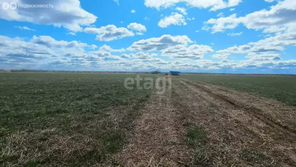 Участок в Республика Коми, муниципальный район Сыктывдинский, ... - Фото 0