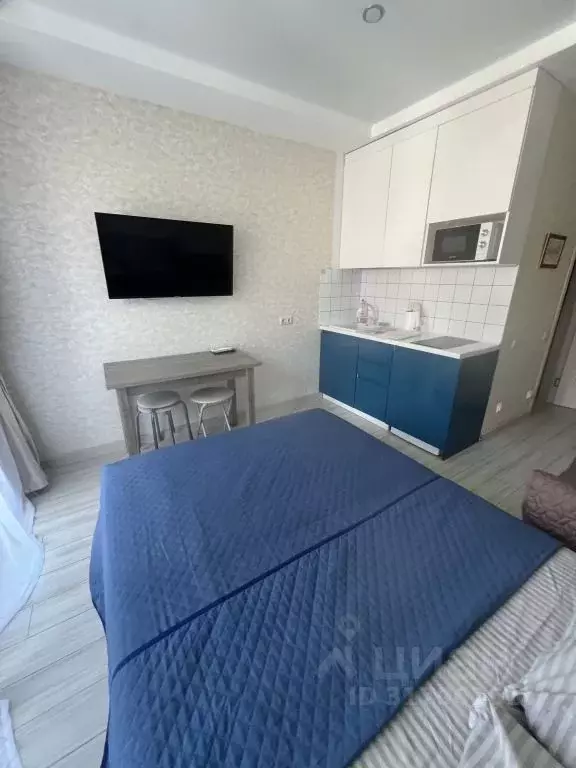 1-к кв. Краснодарский край, Сочи ул. Ленина, 219А/1 (28.0 м) - Фото 1