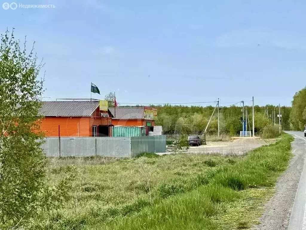 Участок в Нижнетавдинский район, СНТ Нерда (14 м) - Фото 1