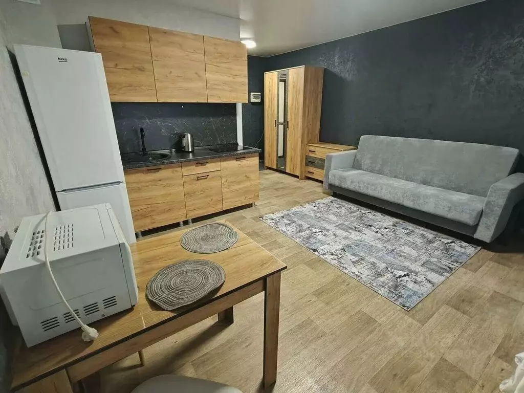 Студия Свердловская область, Нижний Тагил ул. Булата Окуджавы, 5 (24.5 ... - Фото 1