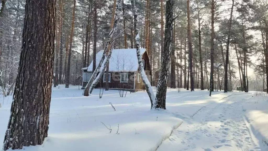 Участок в Новосибирская область, Новосибирск 2-я Моховая ул. (188.0 ... - Фото 1