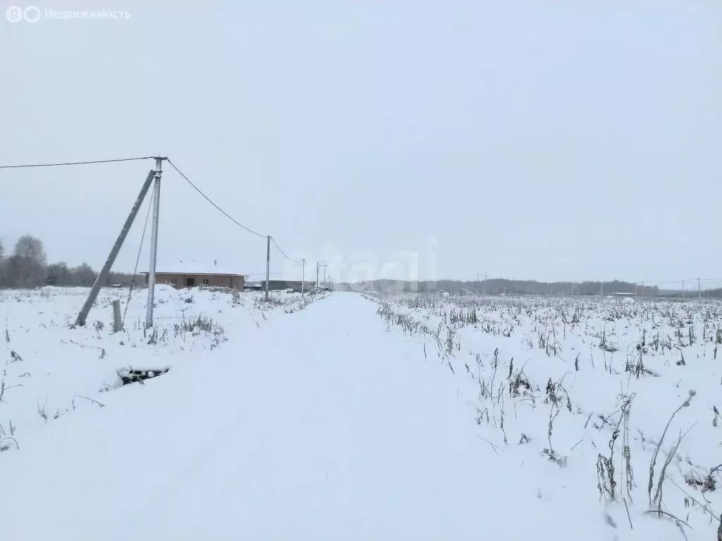 Участок в Тюменский район, деревня Решетникова, улица Свободы (14.95 ... - Фото 1