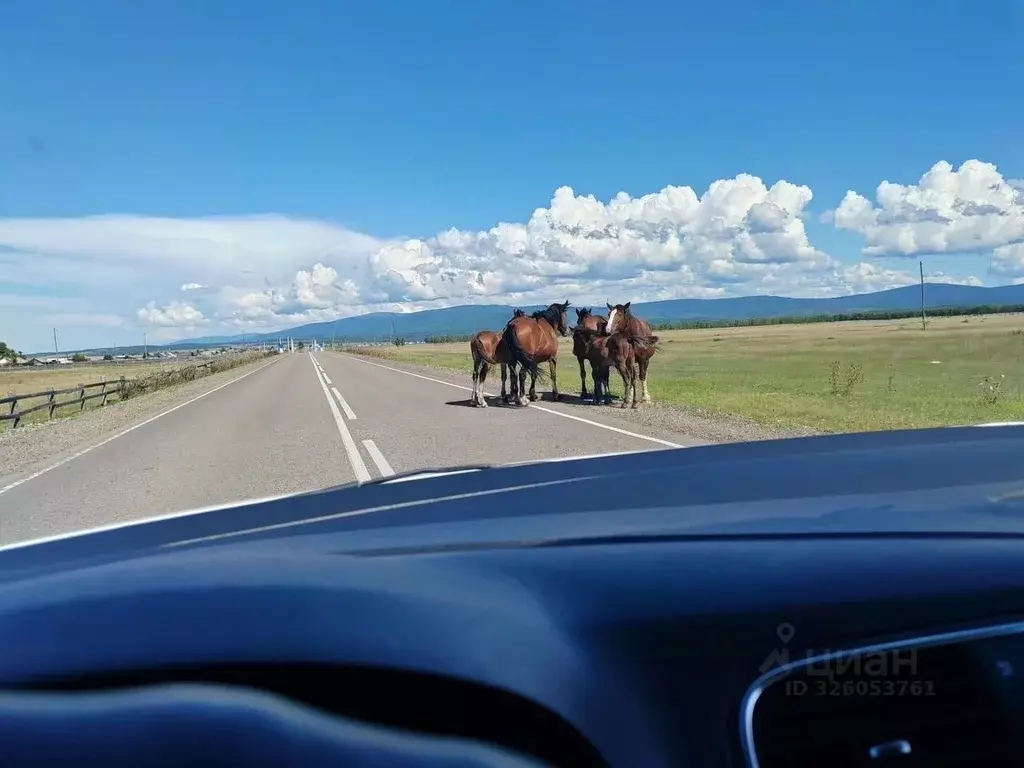 Участок в Бурятия, Кабанский район, с. Кабанск  (30.0 сот.) - Фото 2