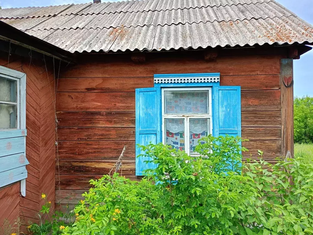 Дом в Новосибирская область, Ордынский район, с. Нижнекаменка ул. ... - Фото 0