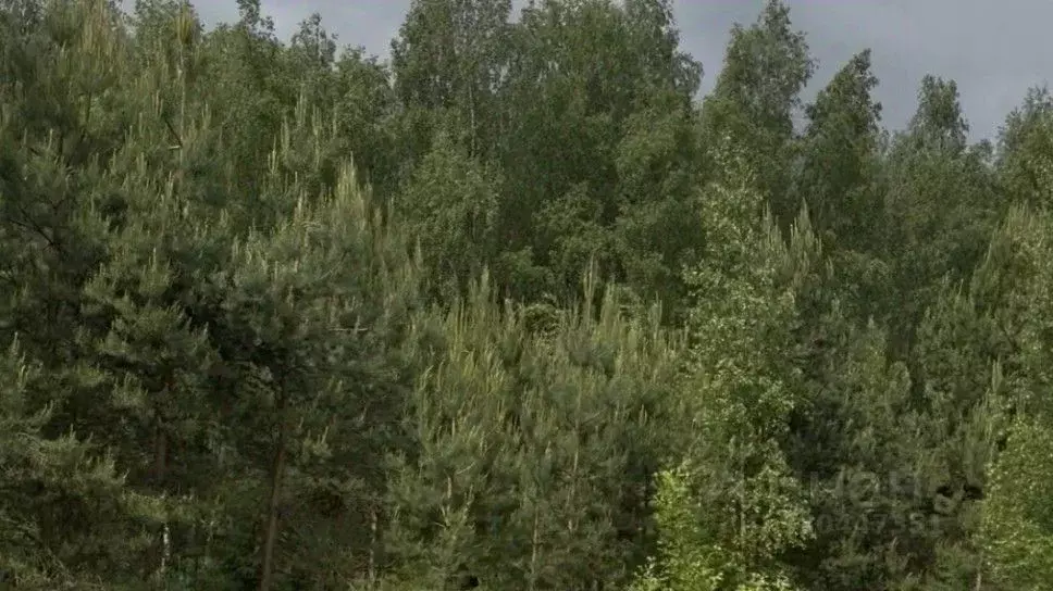 Участок в Московская область, Красногорск городской округ, д. ... - Фото 1