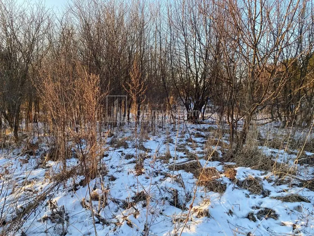 Участок в Владимирская область, Судогодский район, Вяткинское ... - Фото 2