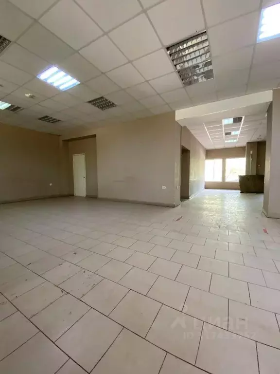 Торговая площадь в Волгоградская область, Волгоград Богунская ул., 11 ... - Фото 1