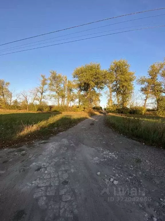 Участок в Белгородская область, Белгородский район, Новосадовское ... - Фото 1