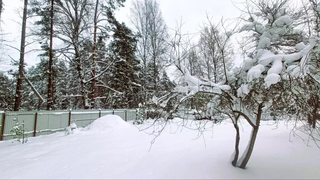 Участок в городской посёлок Вырица, улица Чапаева (15 м) - Фото 1