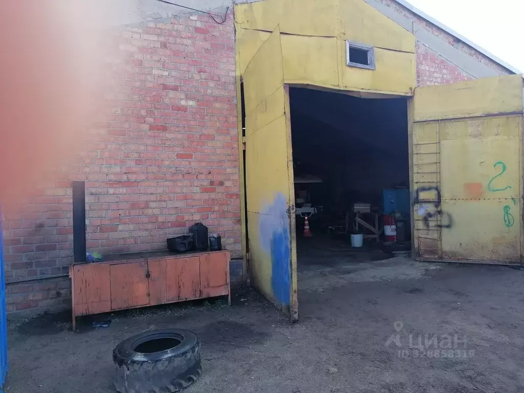 Помещение свободного назначения в Краснодарский край, Ейск ул. ... - Фото 1