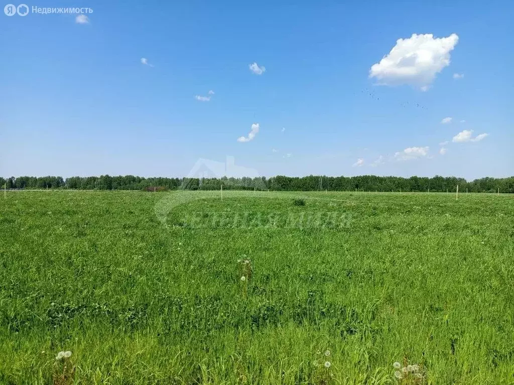 Участок в Тюменский район, деревня Малиновка (6 м) - Фото 0
