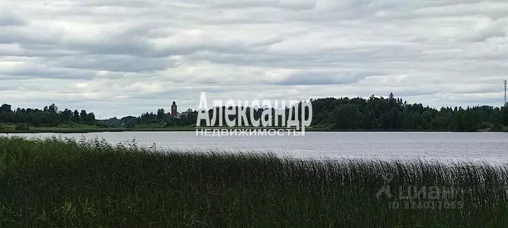 Дом в Ленинградская область, Приозерский район, Севастьяновское с/пос, ... - Фото 2