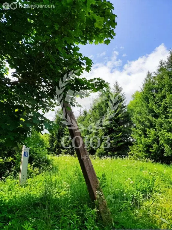 Участок в Калужская область, Боровский муниципальный округ, деревня ... - Фото 2