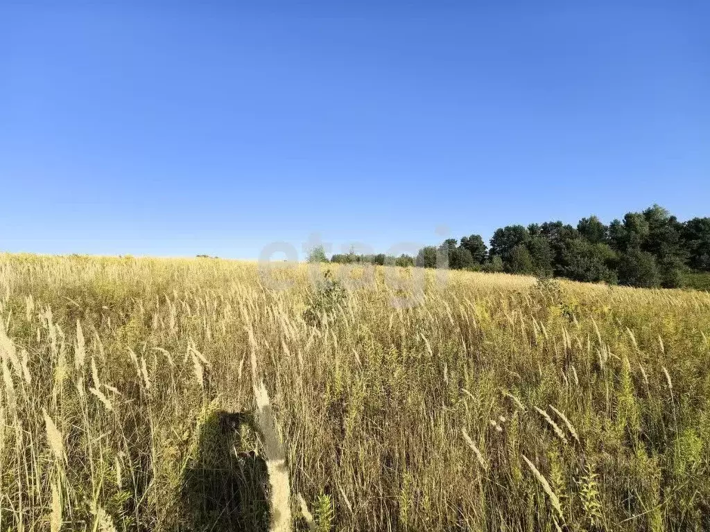 Участок в Брянская область, Брянский район, Добрунское с/пос, д. ... - Фото 1