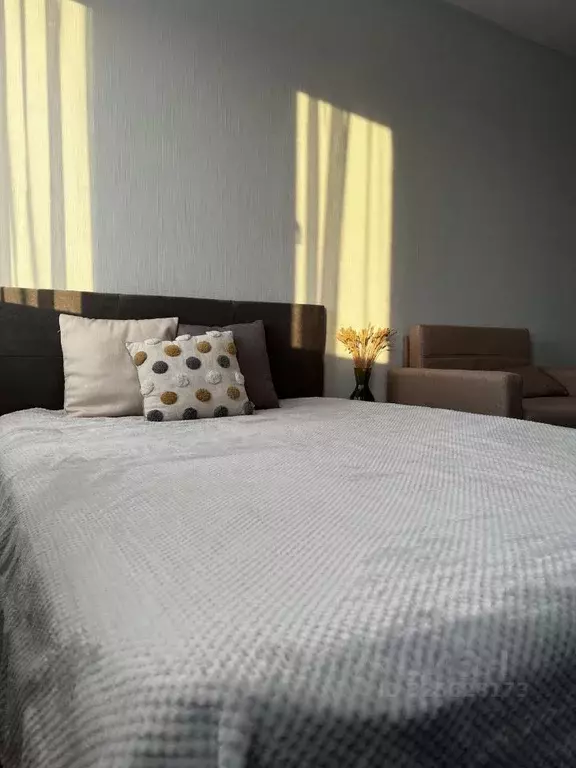 Студия Санкт-Петербург ул. Морской Пехоты, 26к2 (22.0 м) - Фото 2