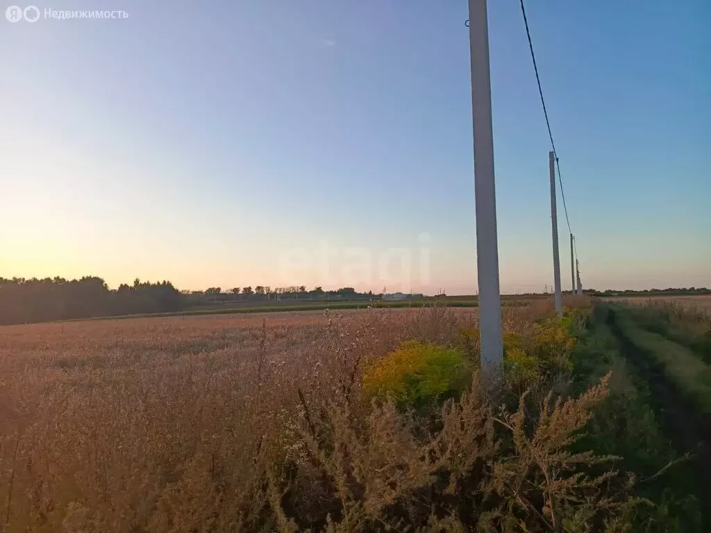 Участок в посёлок Санталовский, Рябиновая улица (15 м) - Фото 2