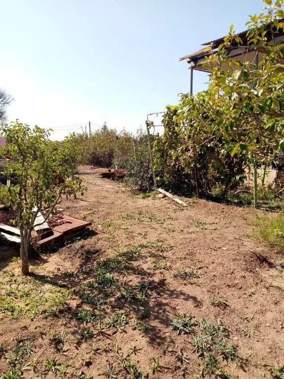 Участок в Астраханская область, Астрахань Газовик садовое ... - Фото 2